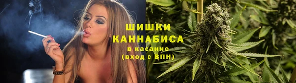 ПСИЛОЦИБИНОВЫЕ ГРИБЫ Верхнеуральск