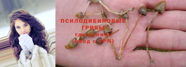 ПСИЛОЦИБИНОВЫЕ ГРИБЫ Верхнеуральск