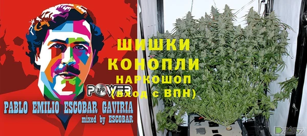 ПСИЛОЦИБИНОВЫЕ ГРИБЫ Верхнеуральск
