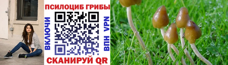 Галлюциногенные грибы мухоморы  Калтан 